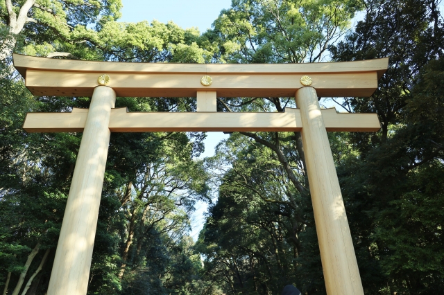 Meiji Shrine – Tokyo Cultural Landmark