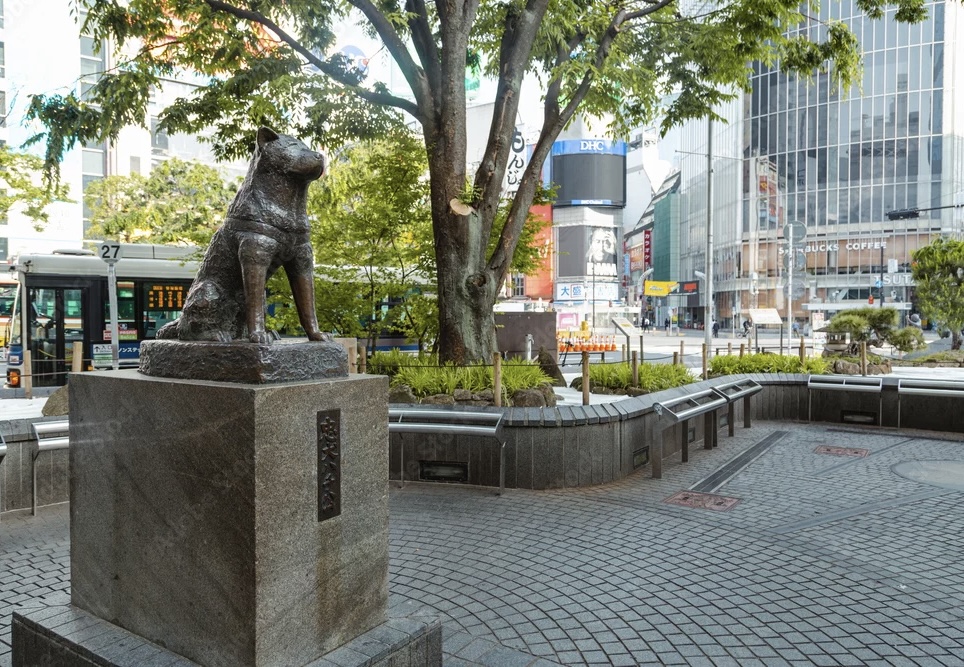 Hachikō Statue – Shibuya Tokyo Private Tour Highlight