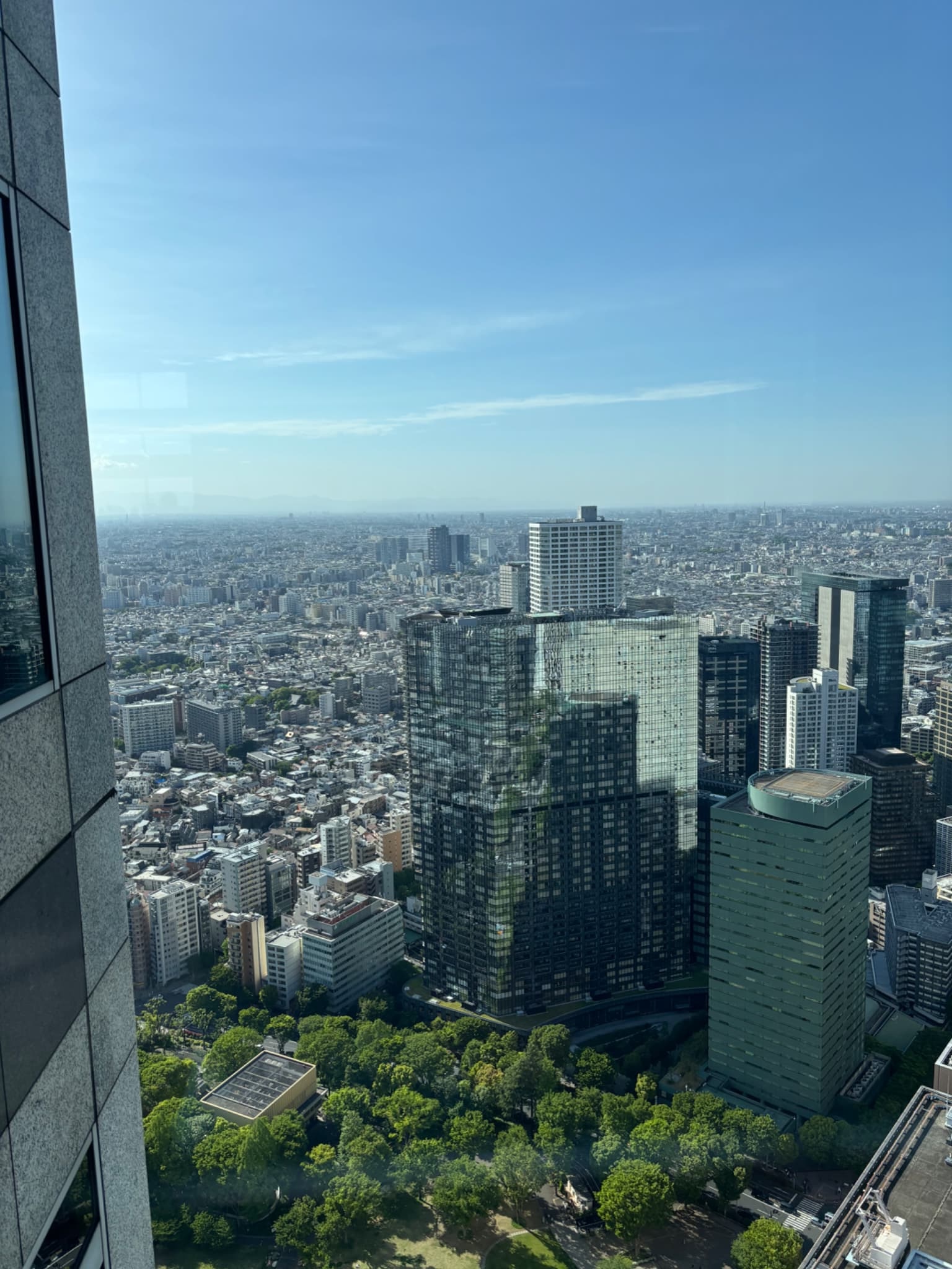 Tokyo Metropolitan Government Building observation deck view