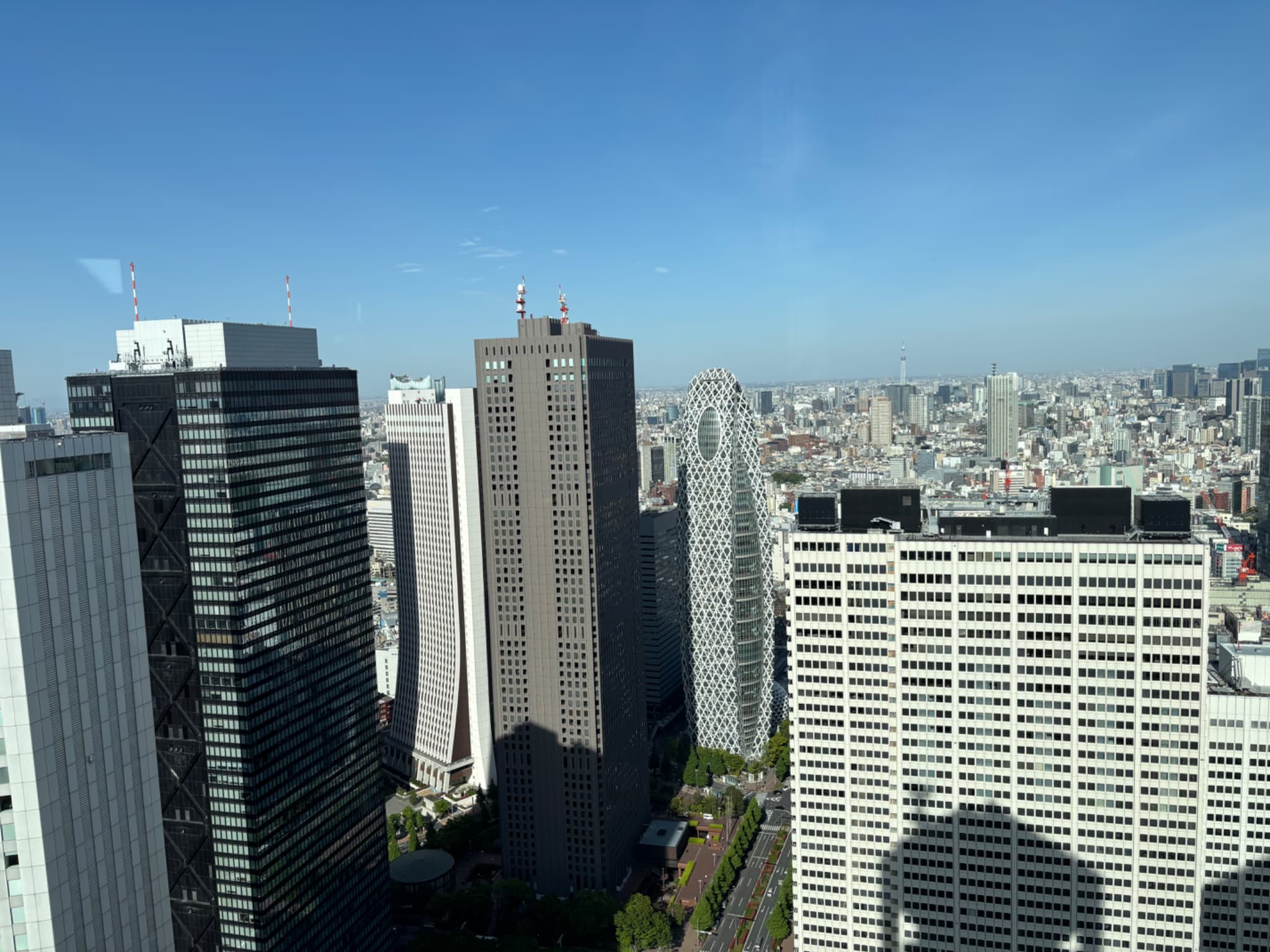 Tokyo skyline view from Metropolitan Government Building Shinjuku