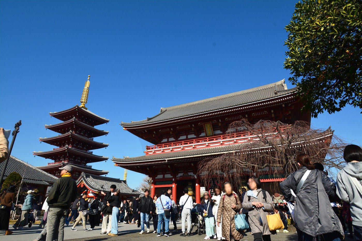 Sensō-ji Temple – Tokyo Private Tour Highlight