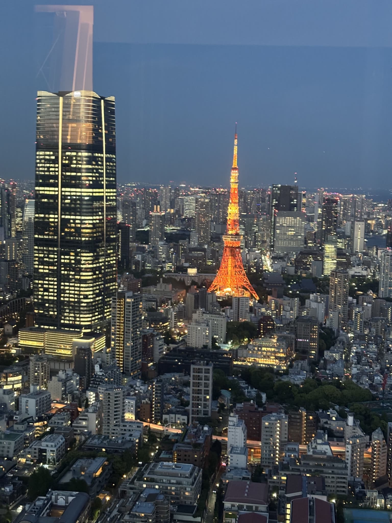 Tokyo skyline view from Roppongi Hills